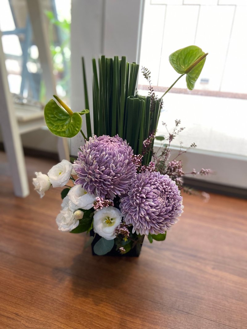 典雅时尚设计款 鲜花盆花 | 可自取 - 植栽/盆栽 - 植物．花 