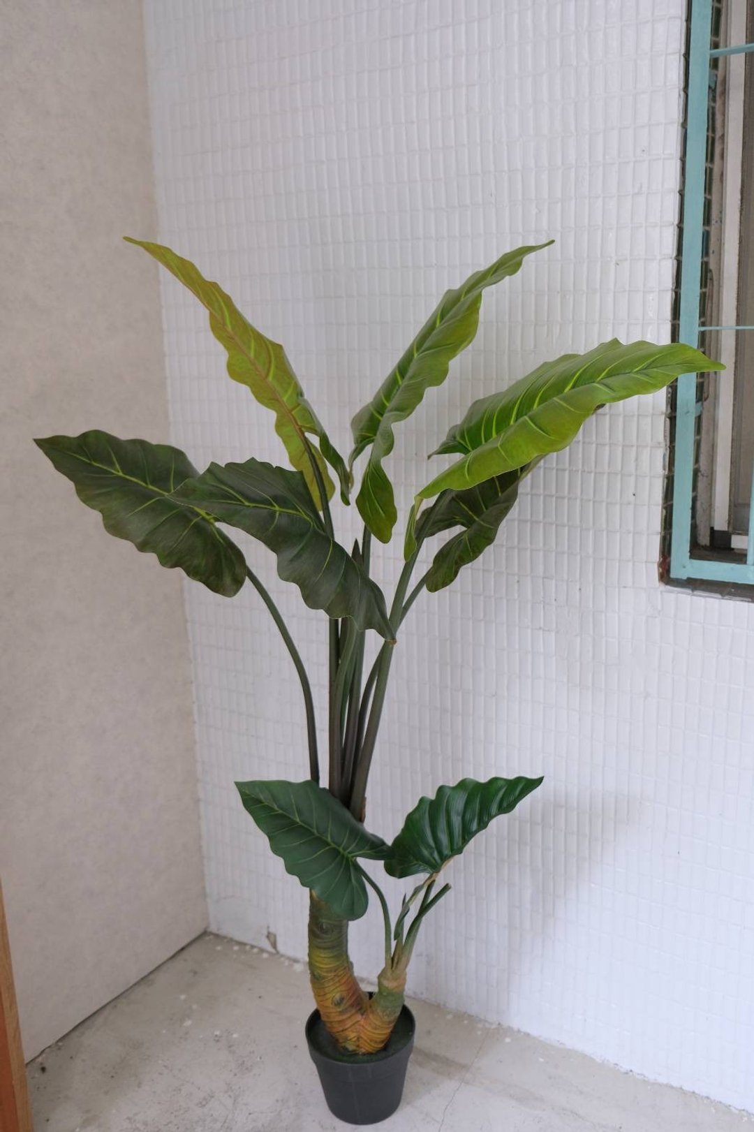 人造植栽/仿真姑婆芋/仿真植物/绿化/永不凋零 - 植栽/盆栽 - 塑料 绿色
