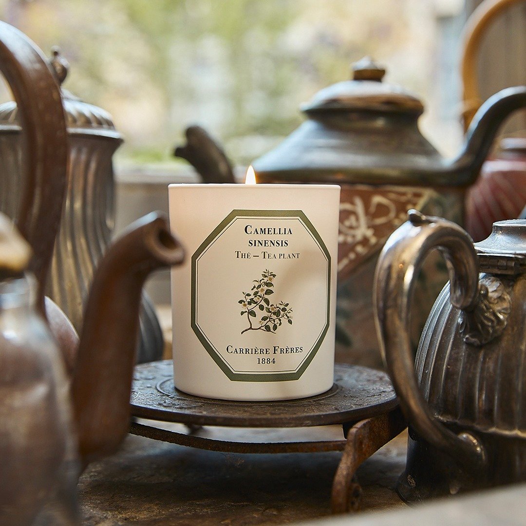 Carrière Frères 红茶香氛蜡烛 - 蜡烛/烛台 - 陶 白色