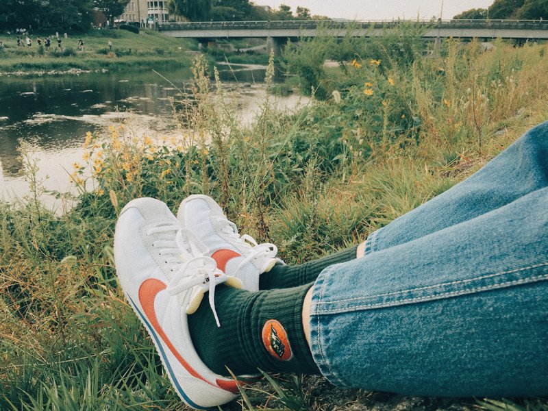 圣诞礼物 袜子五入组 五色各一双 - 袜子 - 纸 多色