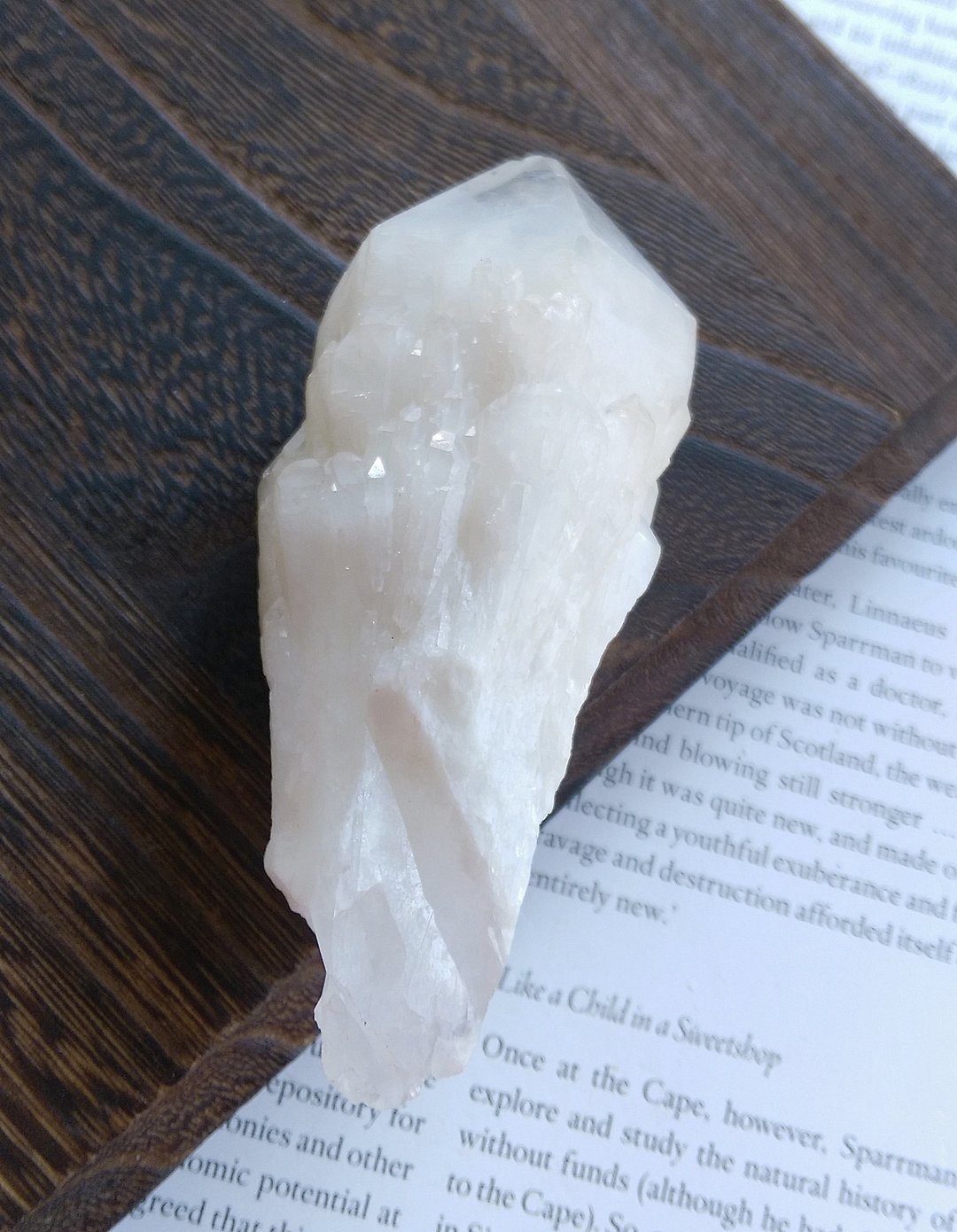 Elestial Quartz  菠萝骨干水晶 侧芽水晶  天然矿石 原矿 - 摆饰 - 其他材质 