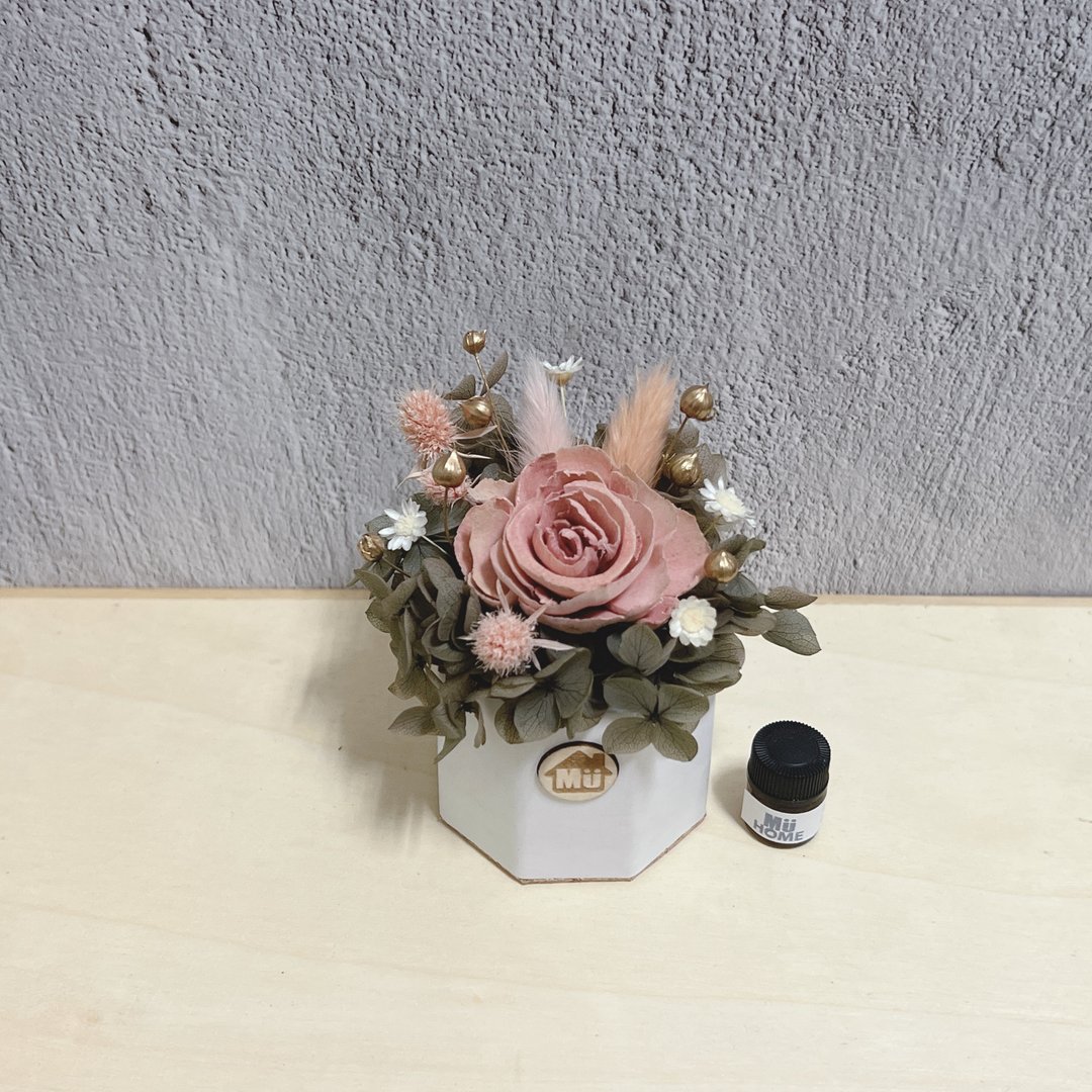 索拉花香氛小盆栽 干燥花 香氛石 附1ml香精油 - 干燥花/捧花 - 植物．花 粉红色