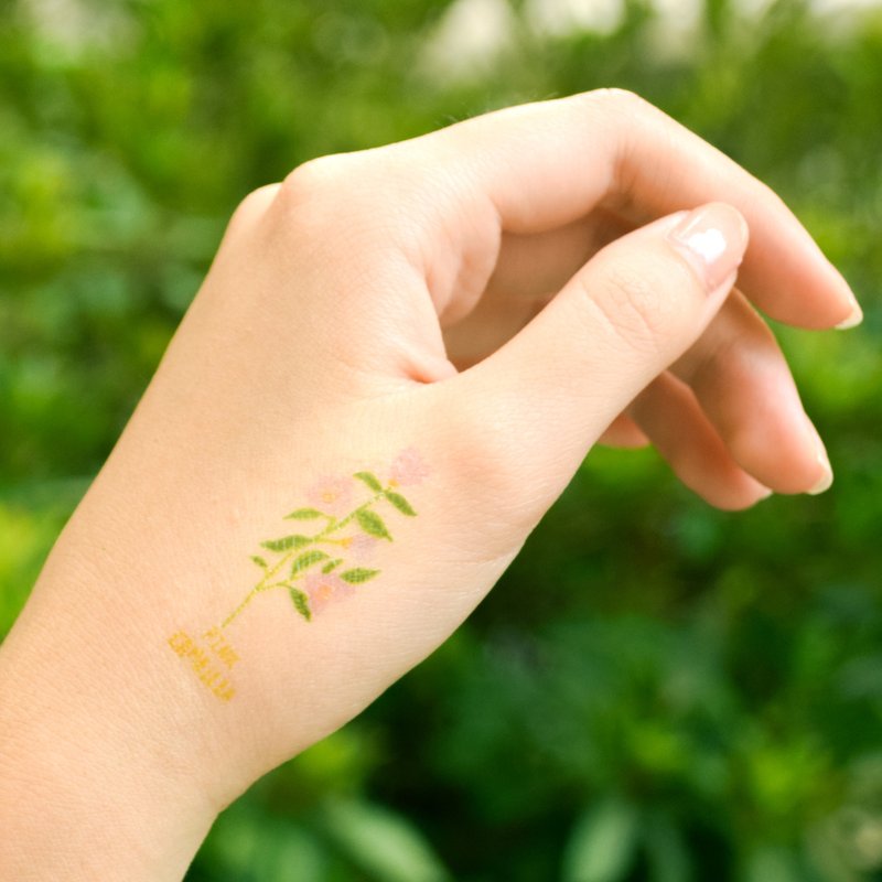 山茶花 一套5款 刺青 纹身贴纸 - 纹身贴 - 纸 粉红色