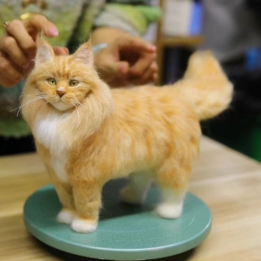 定制化礼物 逼真猫猫 羊毛毡 毛孩 宠物 娃娃 猫咪猫奴 似颜绘 t6 - 玩具 - 羊毛 多色