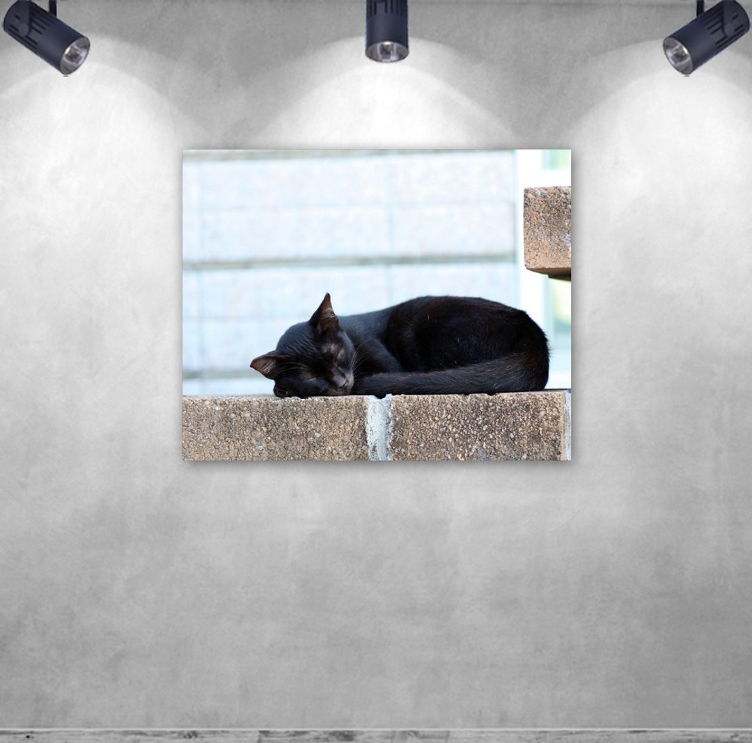 无框复制画 | 流浪黑猫A0009 | K艺术家 - 海报/装饰画/版画 - 其他材质 多色