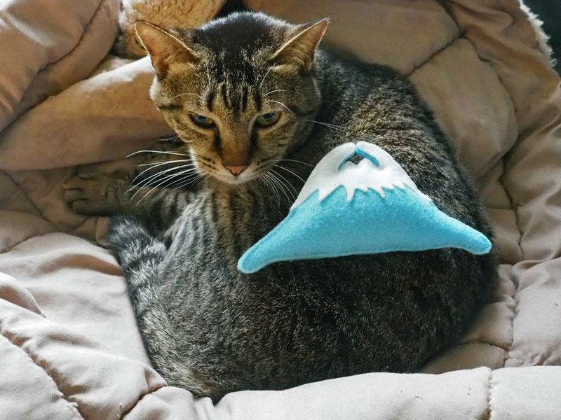 猫草包/猫草/富士山猫草/猫/富士山/猫玩具/手缝 - 玩具 - 其他材质 