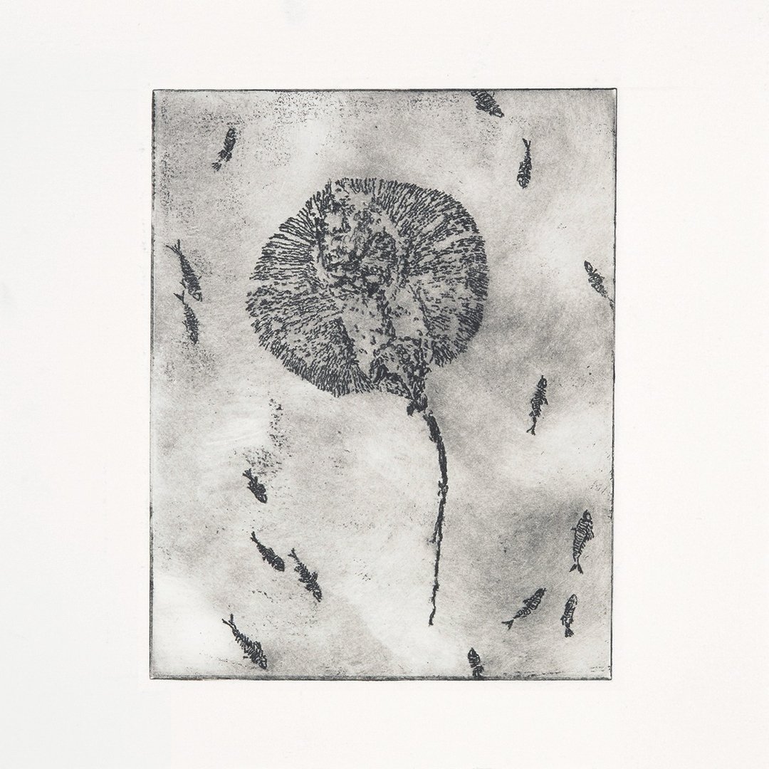 蚀刻版画 Etching | 永恒瞬间 Frozen in Time - 海报/装饰画/版画 - 纸 