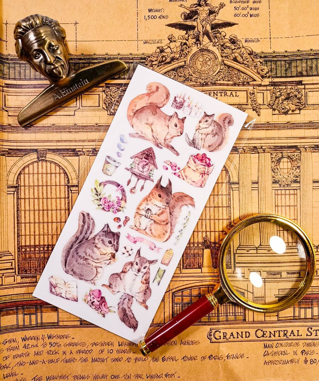 KR496呆萌松鼠A Cute squirrel A/  轉印貼 - 贴纸 - 塑料 