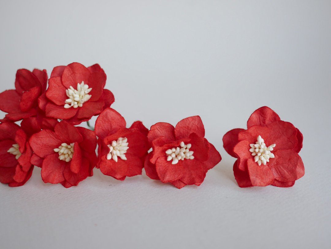 纸花，DIY手工用品，25片荷花，红色。 - 其他 - 纸 红色