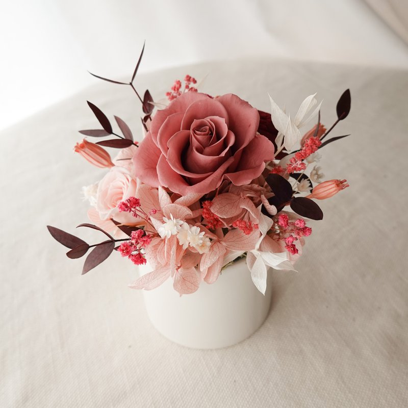 小型永生花盆花-豆沙粉 - 干燥花/捧花 - 植物．花 粉红色