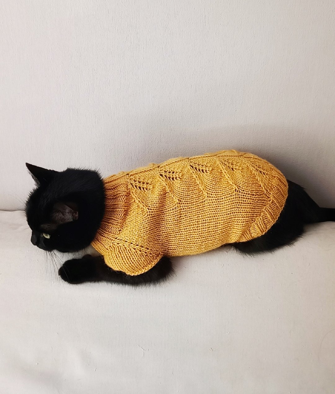 猫毛衣斯芬克斯服装羊毛猫毛衣高领宠物毛衣狗衣服 - 衣/帽 - 羊毛 