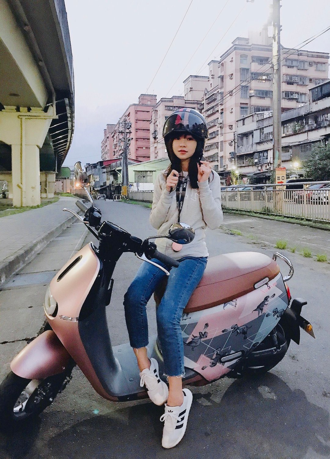 BLR gogoro 车身造型保护套 iD19 粉灰 暴龙 防刮车套 - 其他 - 聚酯纤维 粉红色