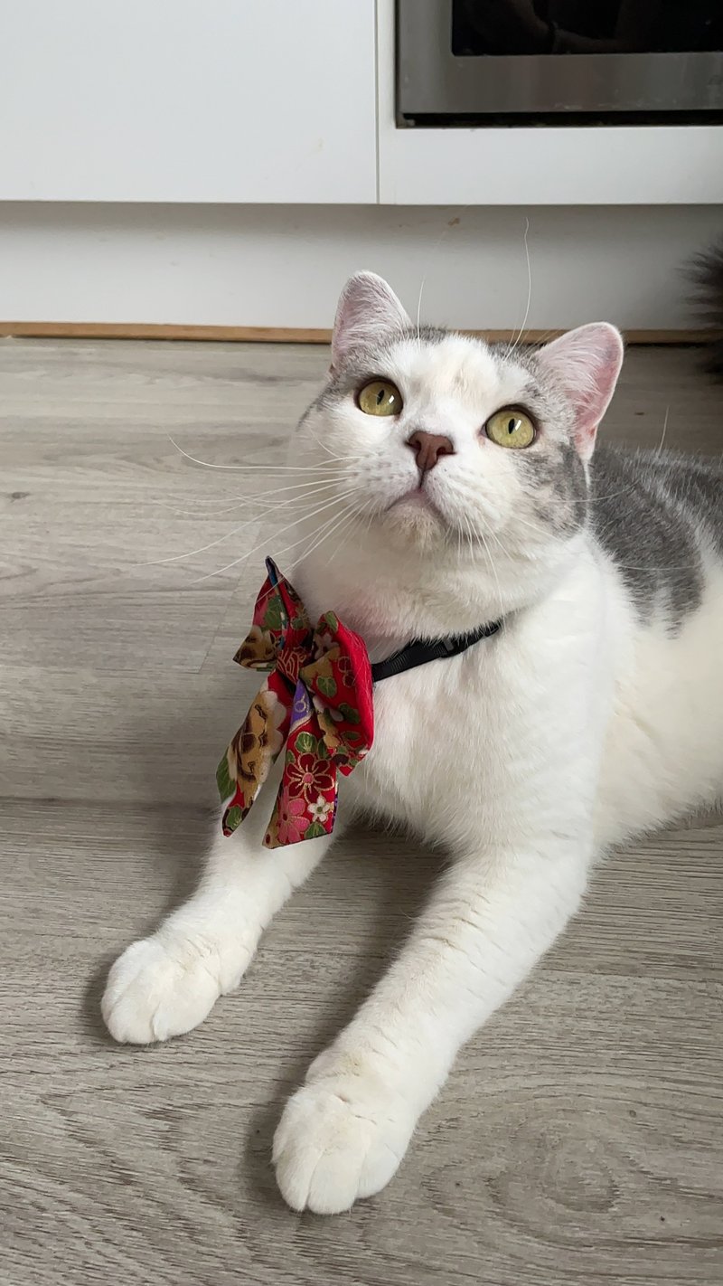 【宠物煲呔】 J014 和风 可调松紧 可订造 宠物 Model - Archie - 订制抱枕/饰品 - 棉．麻 