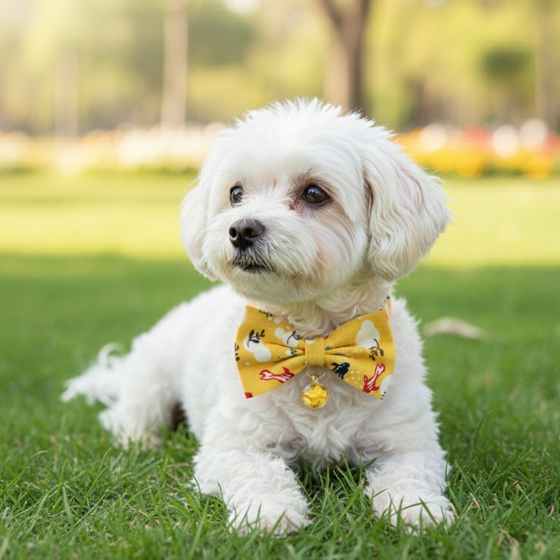 金鱼款 蝴蝶结宠物装饰项圈 猫咪 小型犬 迷你犬 - 项圈/牵绳 - 棉 粉红色