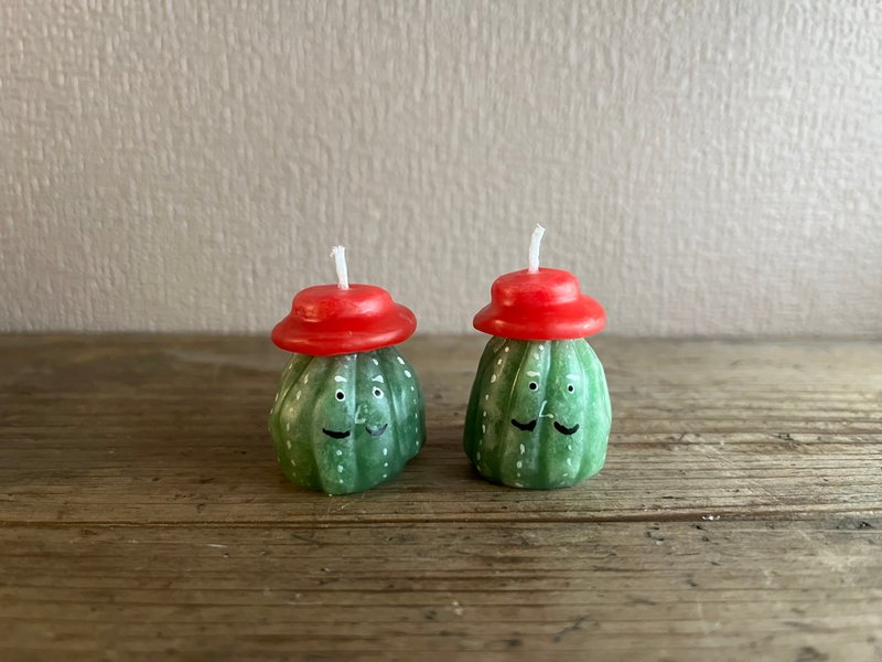 塞诺尔 - 蜡烛/烛台 - 蜡 绿色