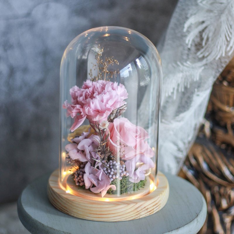 母亲节限定 妈咪的康乃馨玻璃罩 LED底座 - 干燥花/捧花 - 植物．花 多色
