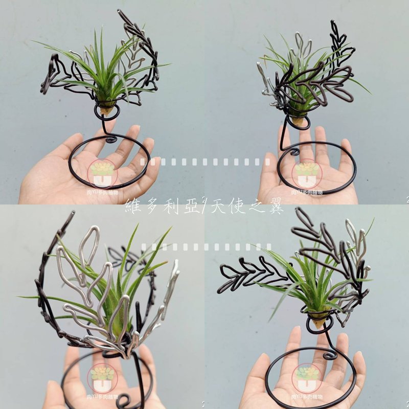 天使之翼 - 植栽/盆栽 - 铝合金 咖啡色