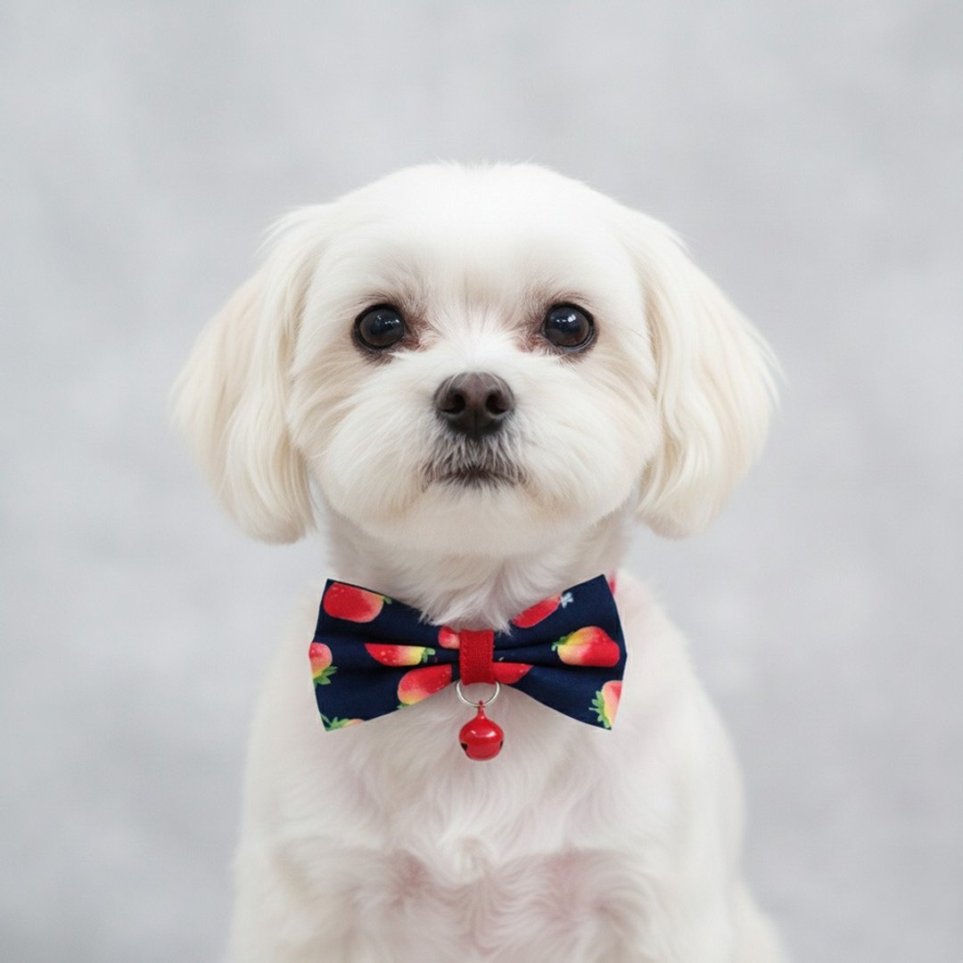草莓款 两色 蝴蝶结宠物装饰项圈 猫咪 小型犬 迷你犬 - 项圈/牵绳 - 棉 红色