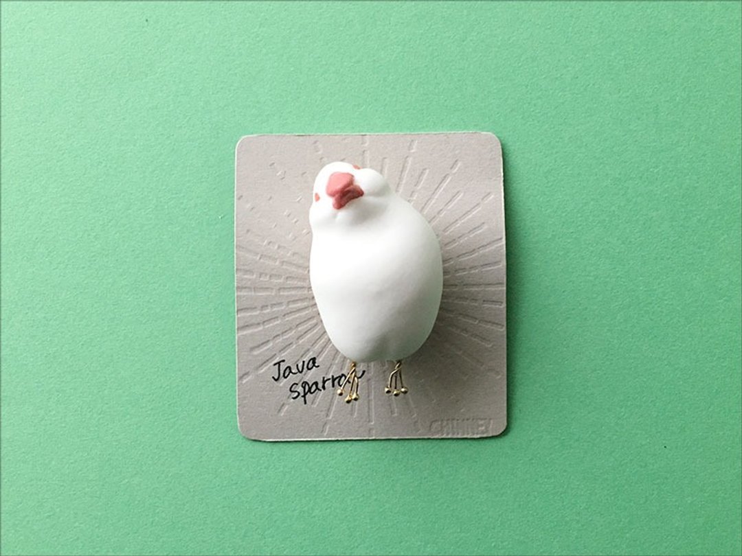 Cocking Java sparrow brooch [white] - 胸针 - 塑料 白色