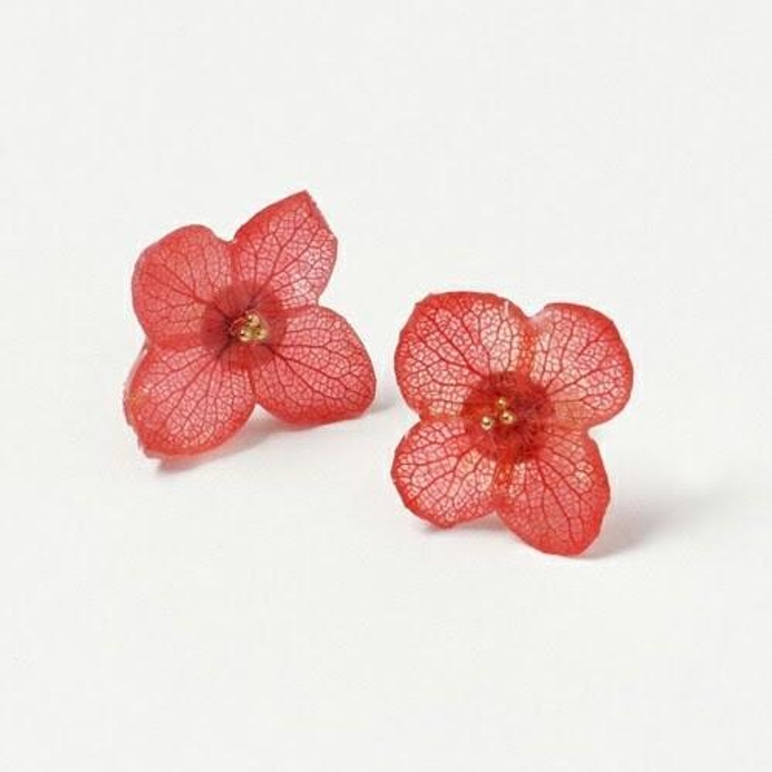 Hidahari hydrangea*Red* - 耳环/耳夹 - 植物．花 红色
