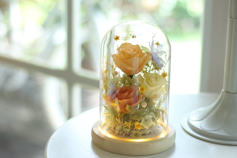 蝶舞夏日 定制化永生花礼 - 干燥花/捧花 - 植物．花 