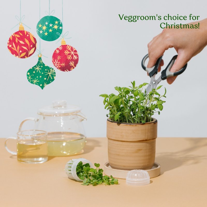 【环保交换礼物】微菜香草茶种植DIY套装 - 植栽 - 植物．花 卡其色