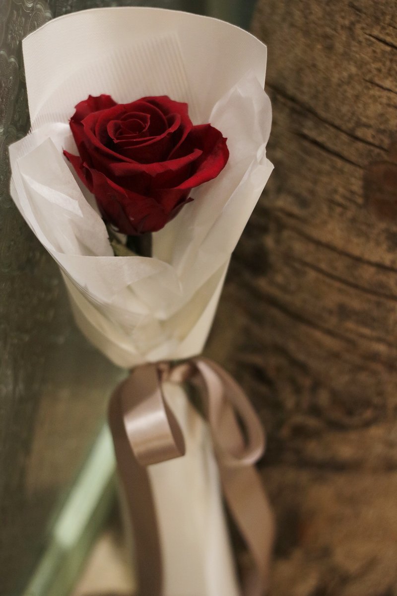 FLORA 花礼 - 单支花 永生花/不凋花 - 干燥花/捧花 - 植物．花 红色