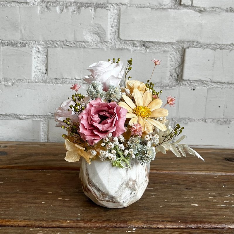 永生系列 迷你花园 永生花小盆花 - 干燥花/捧花 - 植物．花 粉红色