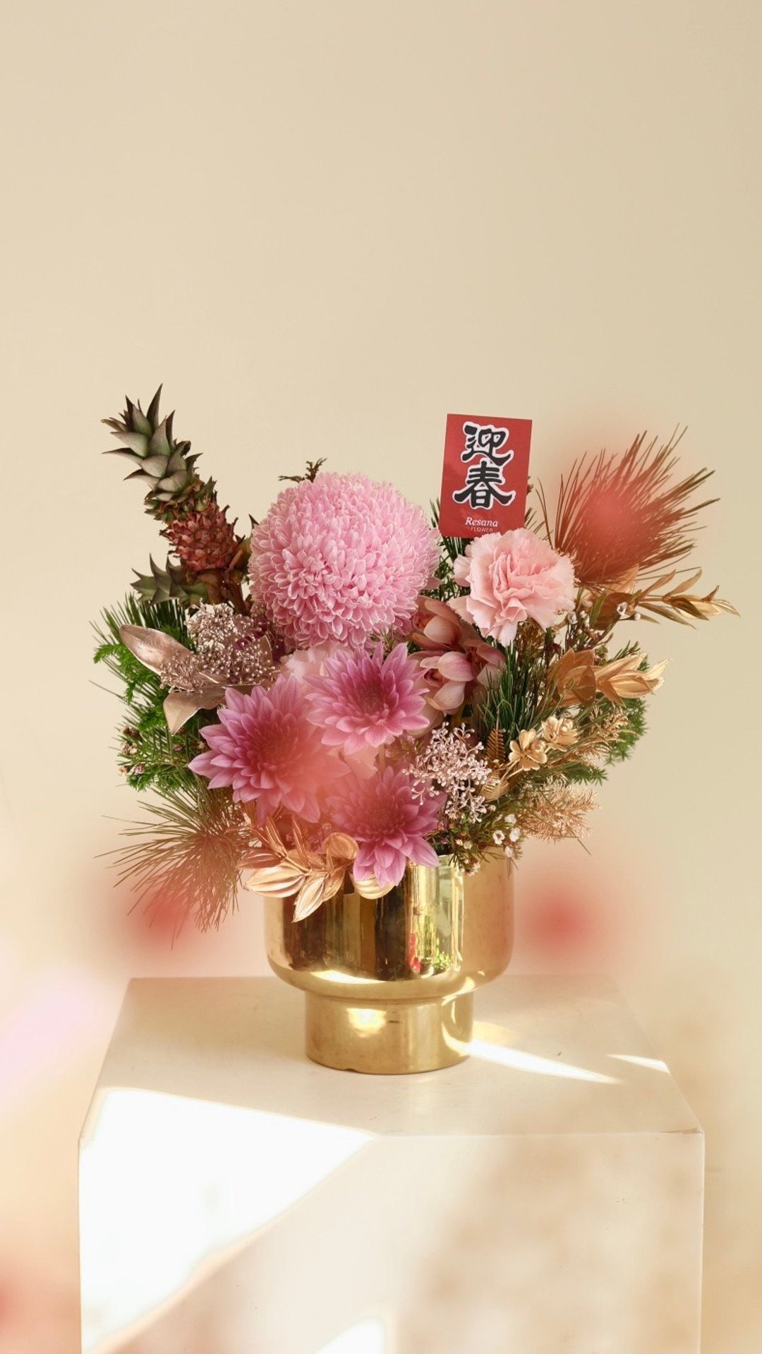 花好迎春 小宅新春鲜花盆花 - 植栽/盆栽 - 植物．花 粉红色