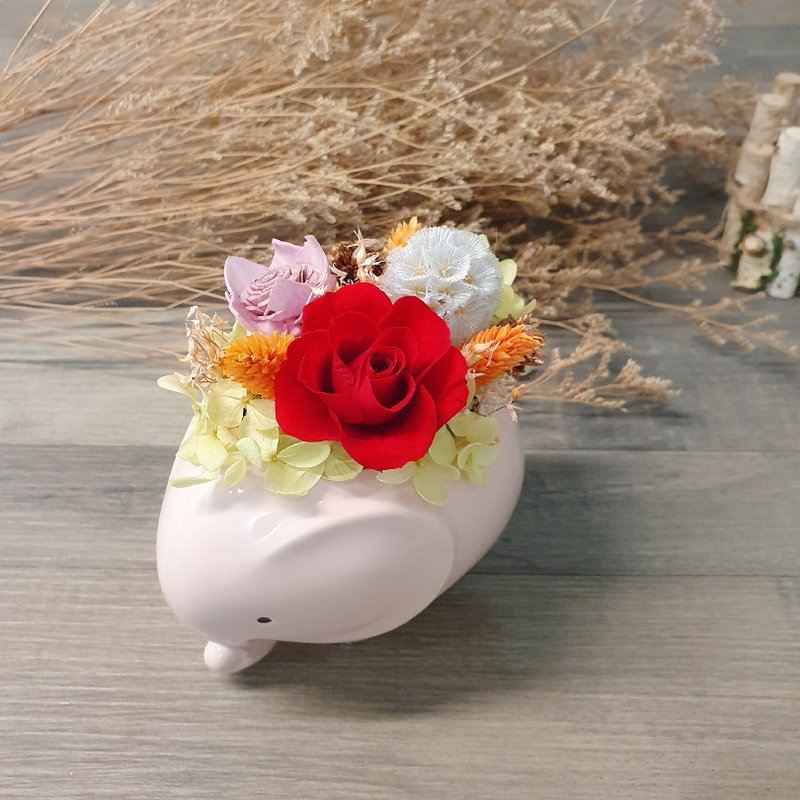 魅力红玫瑰款 小象干燥花盆栽 - 植栽/盆栽 - 植物．花 