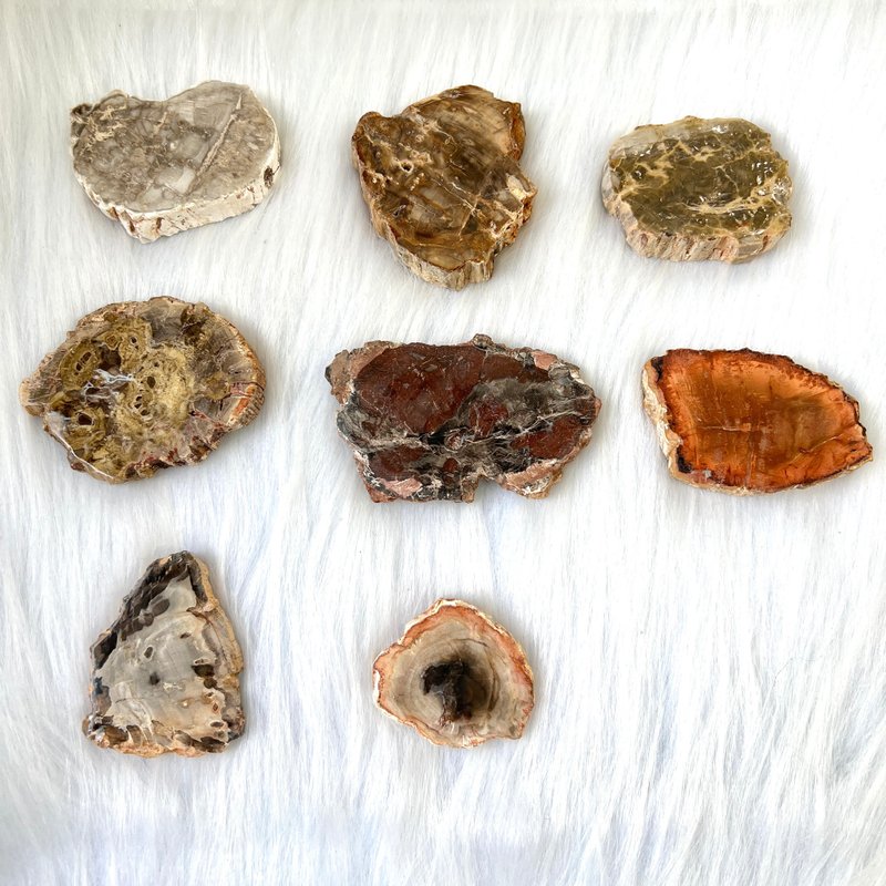 木化石 | 水晶 | 水晶摆件 - 摆饰 - 石头 多色