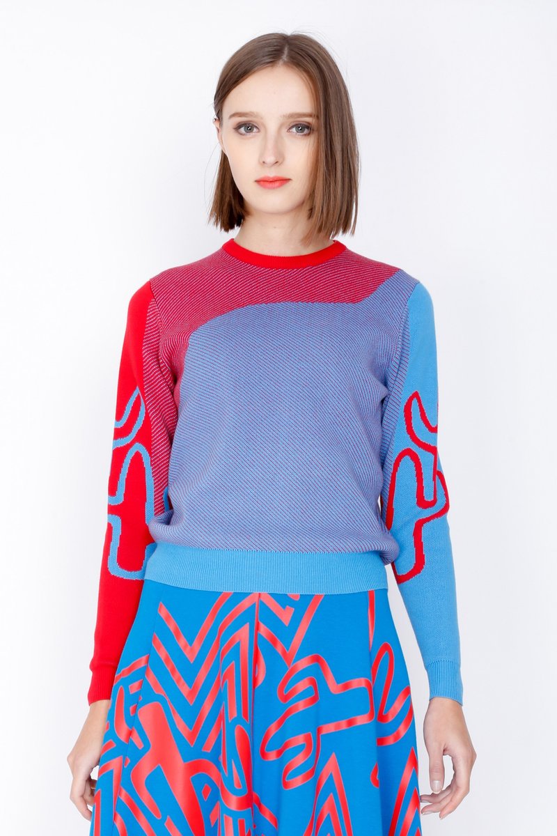 ZIZTAR 不要触碰仙人掌针织上衣 - 女装针织衫/毛衣 - 棉．麻 蓝色