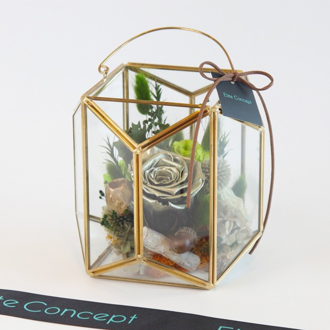 绿野 / 八角玻璃屋永生花 - 植栽/盆栽 - 植物．花 绿色