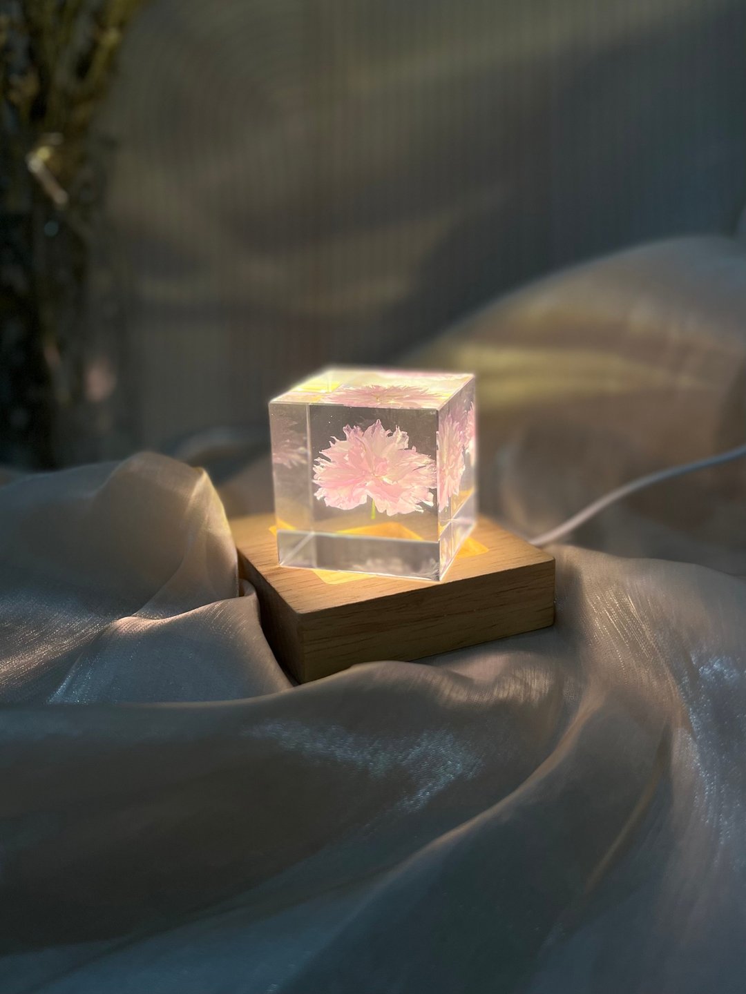 关山樱/重瓣樱花Sakura 标本/稀有真花精选礼品 - 摆饰 - 树脂 粉红色