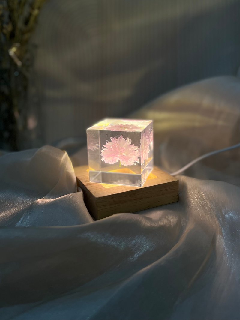 关山樱/重瓣樱花Sakura 标本/稀有真花精选礼品 - 摆饰 - 树脂 粉红色