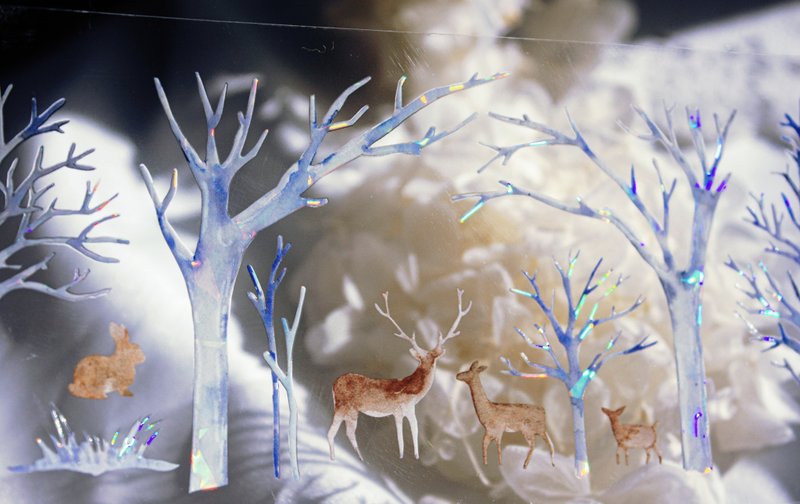 寒武纪 實用造景 PET 紙膠帶 貝殼光 11米卷 巨畫幅 - 纸胶带 - 其他材质 多色