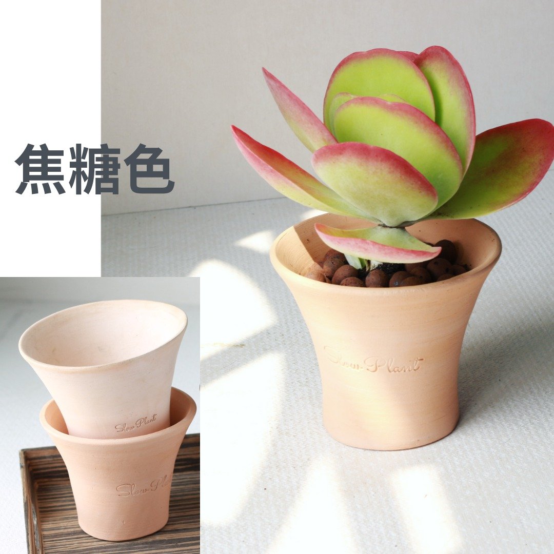 植栽 盆栽 l Slow Plant素烧陶盆 低腰曲线时尚盆 两色挑选 - 花瓶/陶器 - 陶 