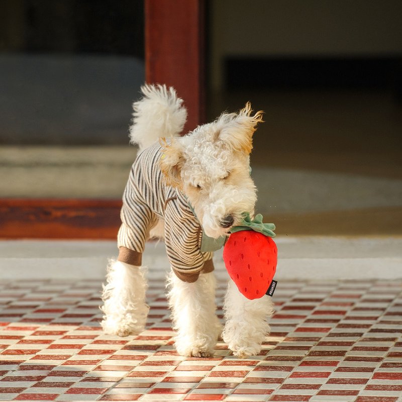 【狗玩具】 CHEWFFON 甜心草莓 - 玩具 - 其他材质 