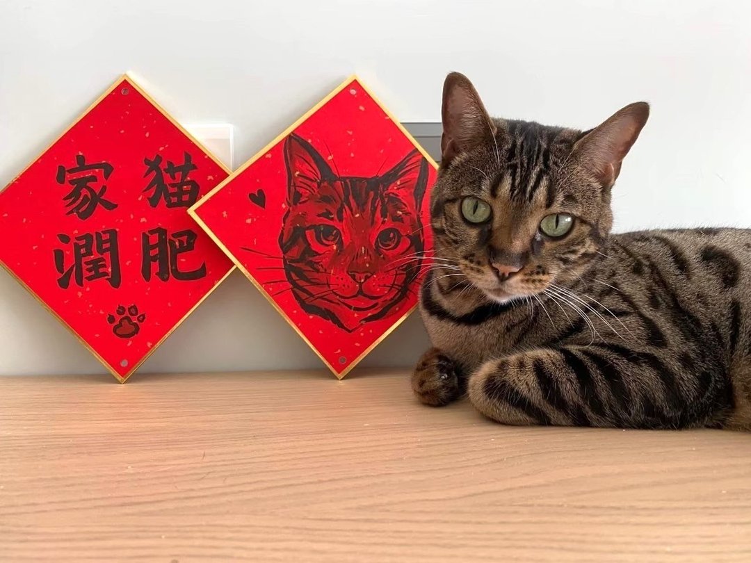定制化宠物春联 | 中卡硬春 | 独一无二的萌宠祝福 - 订制抱枕/饰品 - 纸 红色