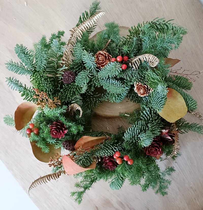 圣诞布置选品 树花圈 永生桌花盆花盆栽|开店开幕展览生日礼物All - 植栽/盆栽 - 植物．花 