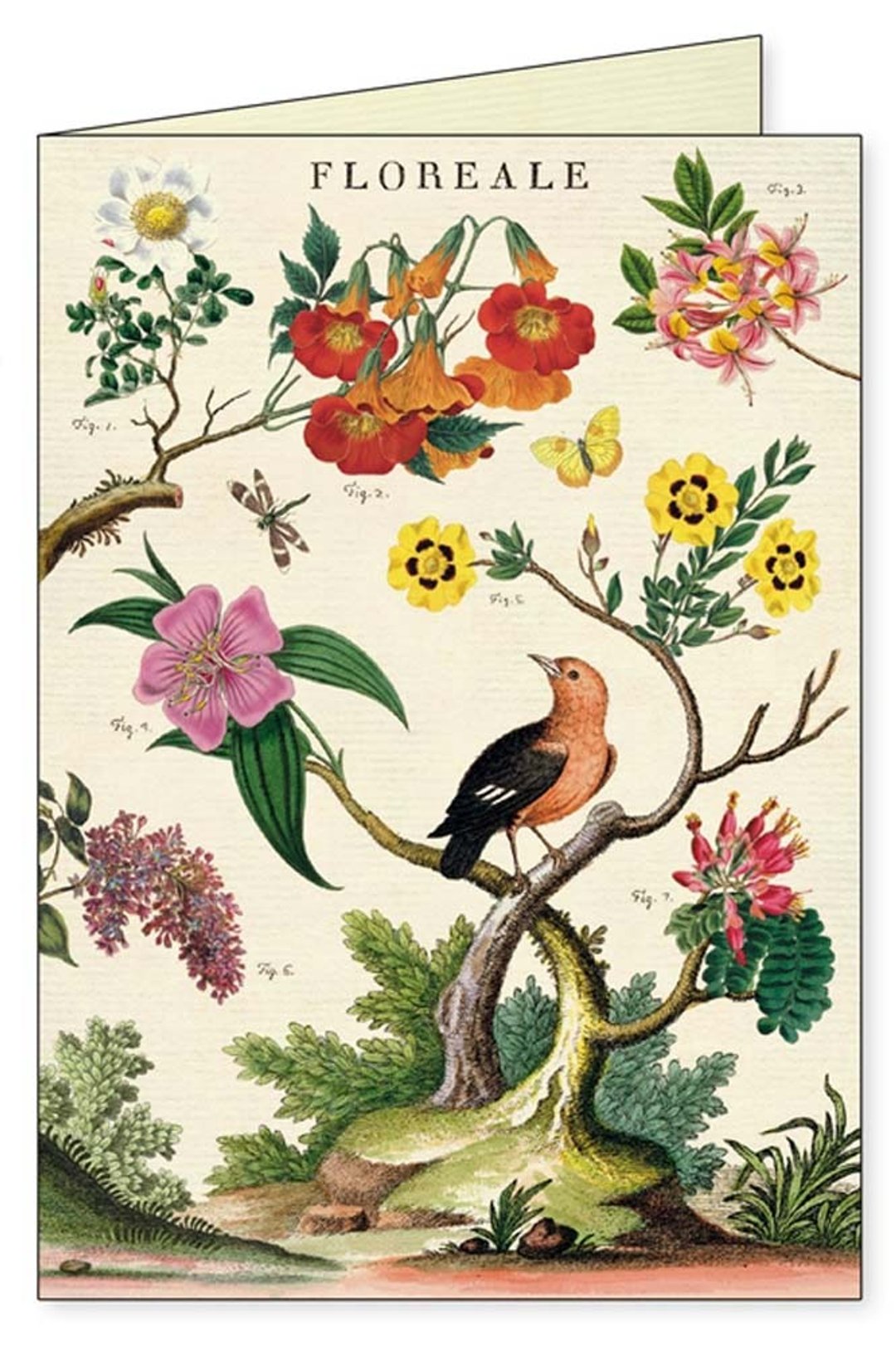 Cavallini & Co. GREETING CARD 花卉卡片组_四张一组 - 卡片/明信片 - 纸 多色