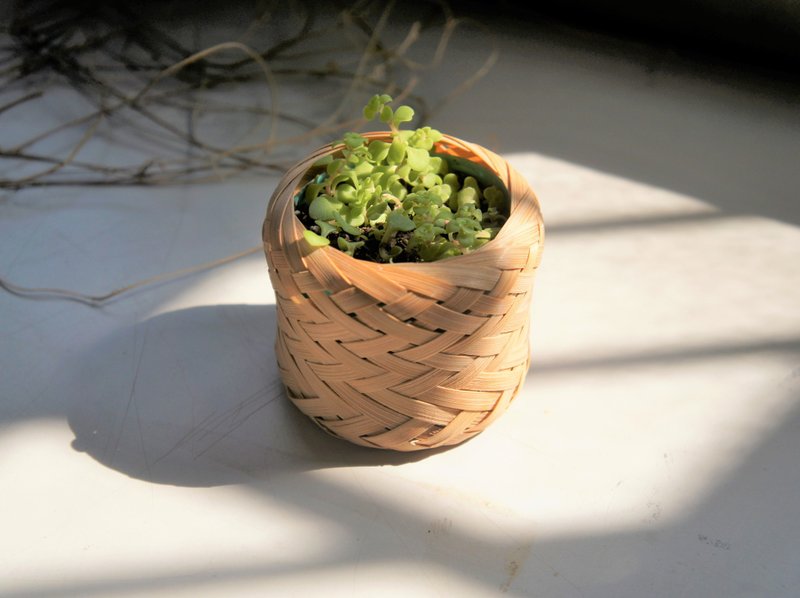 白面观音 - 竹编花器/多肉植栽/收纳小物/容器/桌上 - 其他 - 竹 黄色