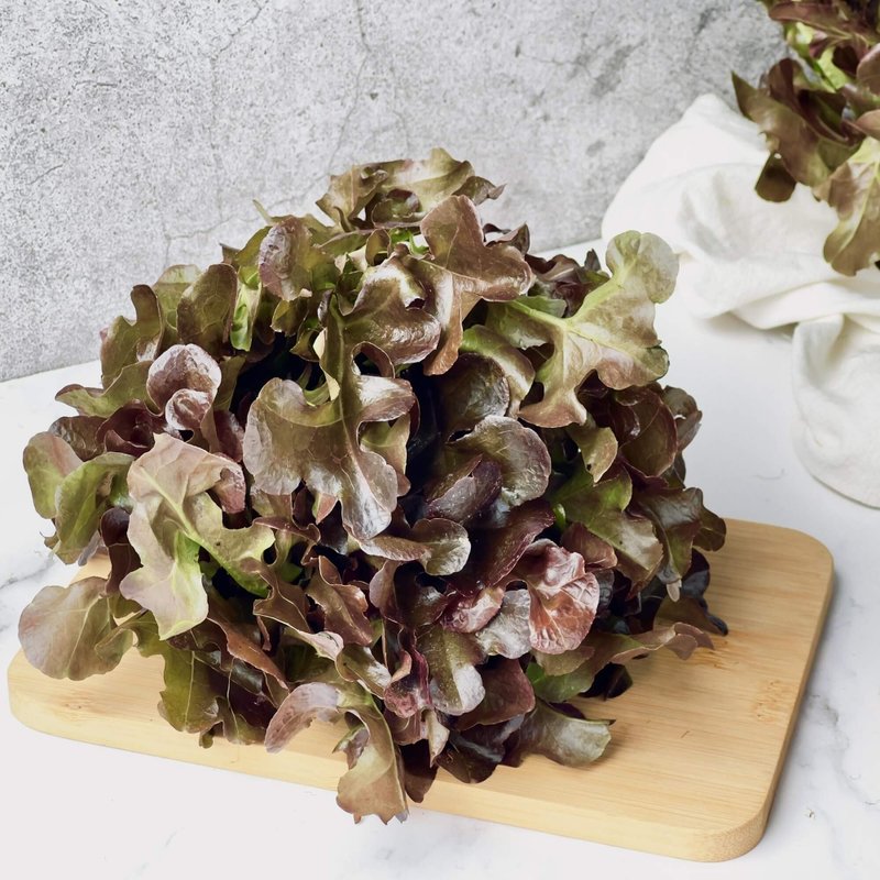 【绿十水耕生菜】红橡木150g、生菜、沙拉、莴苣、水耕蔬菜 - 其他 - 新鲜食材 
