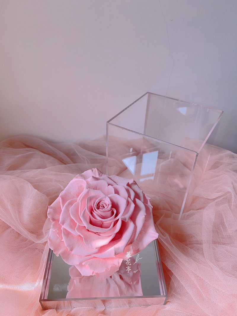 厄瓜多尔尔永生玫瑰/星座系列/双鱼座2023粉红幸运色 - 干燥花/捧花 - 其他材质 粉红色