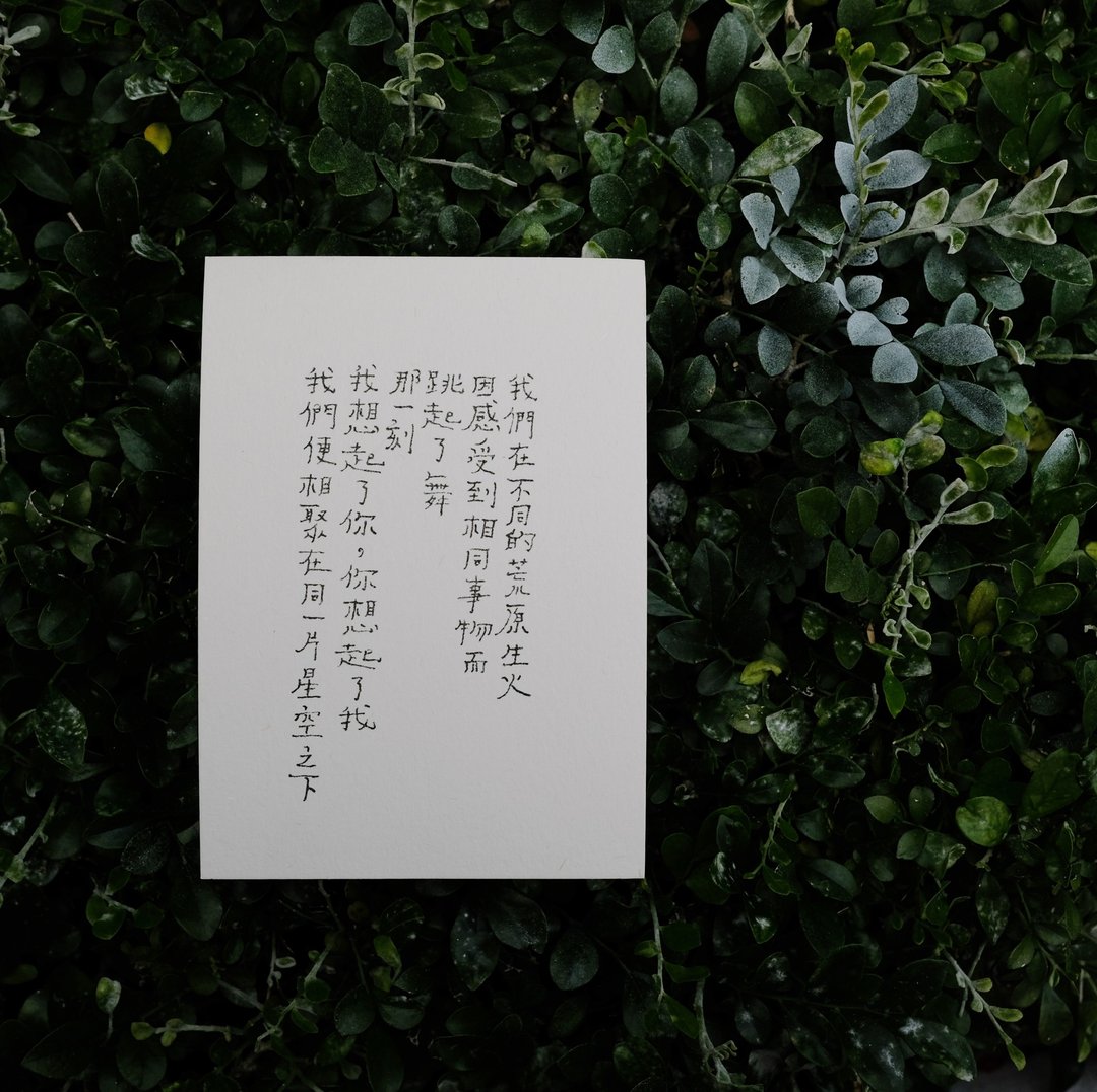 牧歌与炊烟。相聚在同一片星空之下 文字明信片 青青的岛 - 卡片/明信片 - 纸 