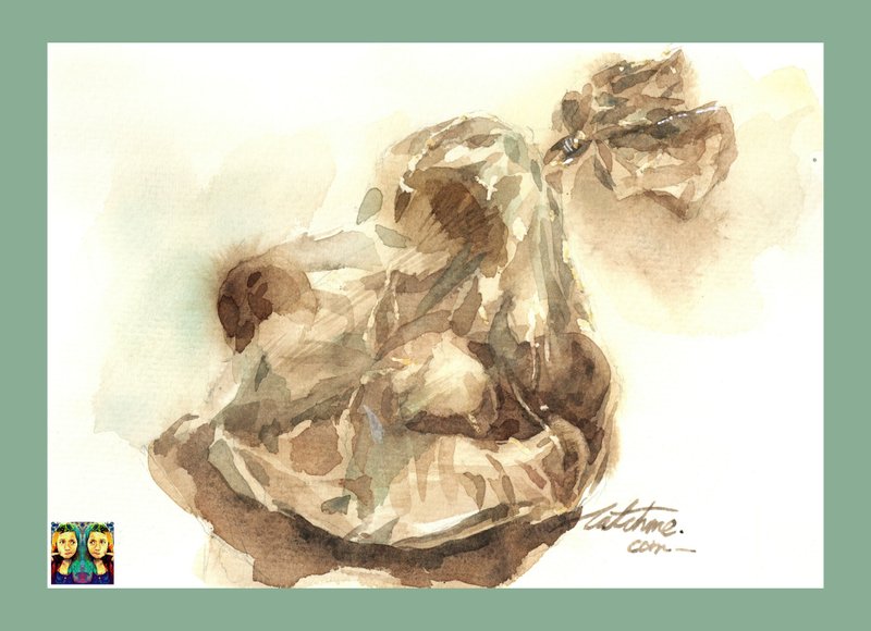 杏包菇_手绘原作(仅此一件) - 订制画像 - 纸 