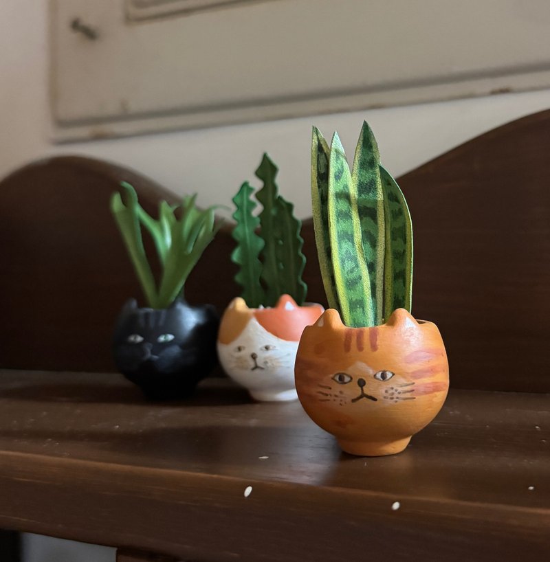 厌世三猫・皮感植境 / 橘猫虎尾兰、黑猫鹿角蕨、花猫鲨鱼剑 - 植栽/盆栽 - 真皮 