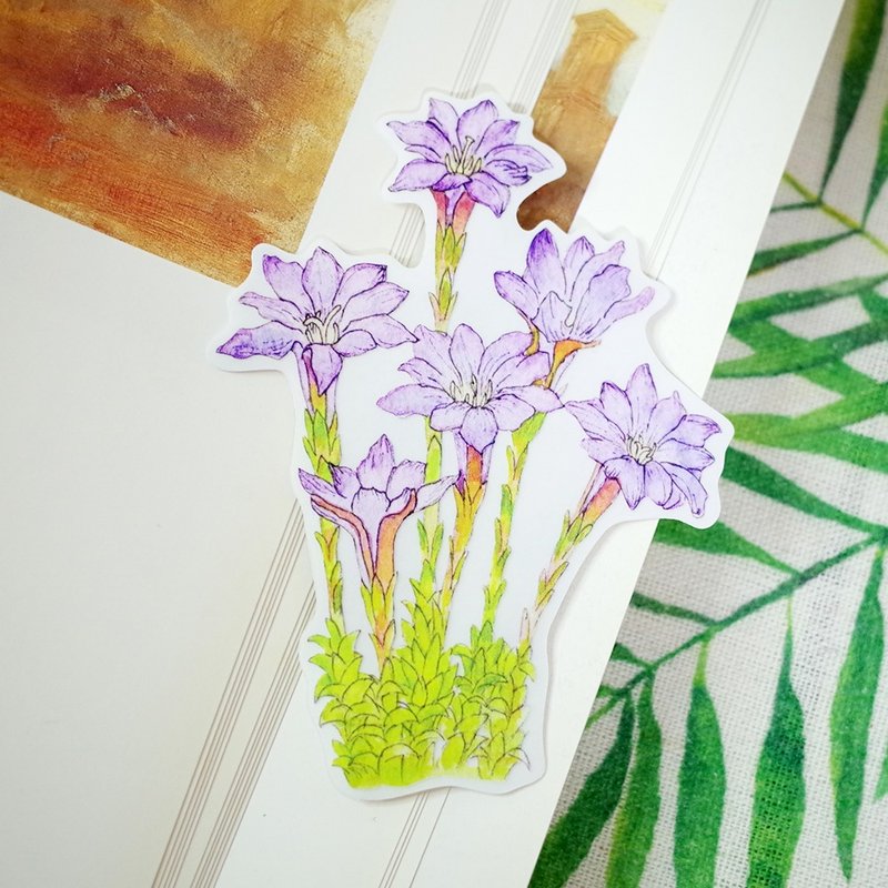 台湾特有种 阿里山龙胆 绘画PVC防水大贴纸 - 贴纸 - 防水材质 紫色
