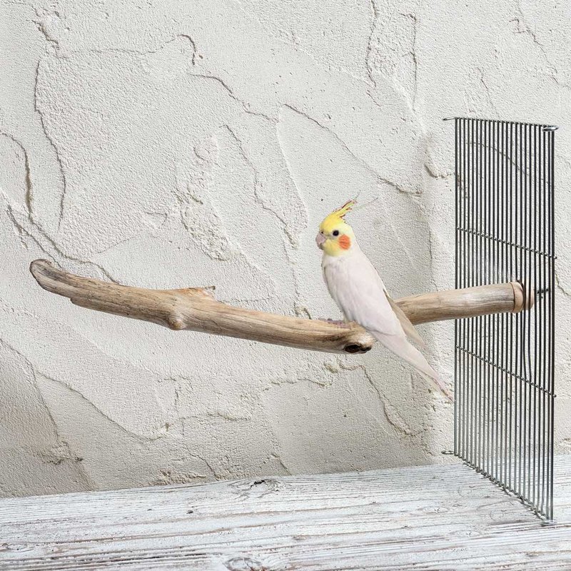 浮木鸟笼栖息处，鸟笼栖息处，雀雀树，雀栖息地树架057 - 玩具 - 木头 卡其色