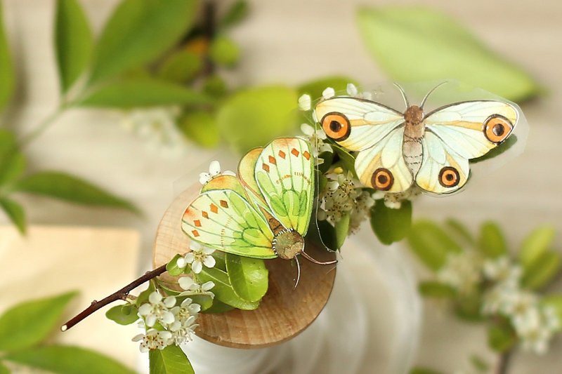 似蝶 蝴蝶 PET胶带 10米卷 手帐拼贴 咕卡装饰 Kuma熊口组 - 纸胶带 - 其他材质 多色